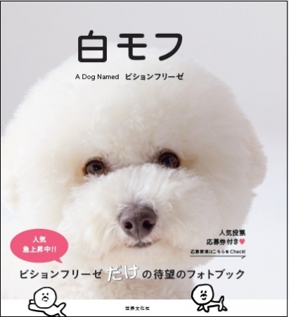 18年人気no１犬に 話題の 白モフ ビションフリーゼ 待望の写真集誕生 企業リリース 日刊工業新聞 電子版