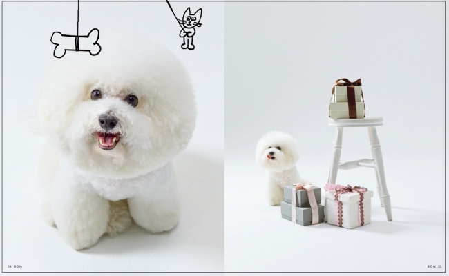 18年人気no１犬に 話題の 白モフ ビションフリーゼ 待望の写真集誕生 株式会社世界文化ホールディングスのプレスリリース