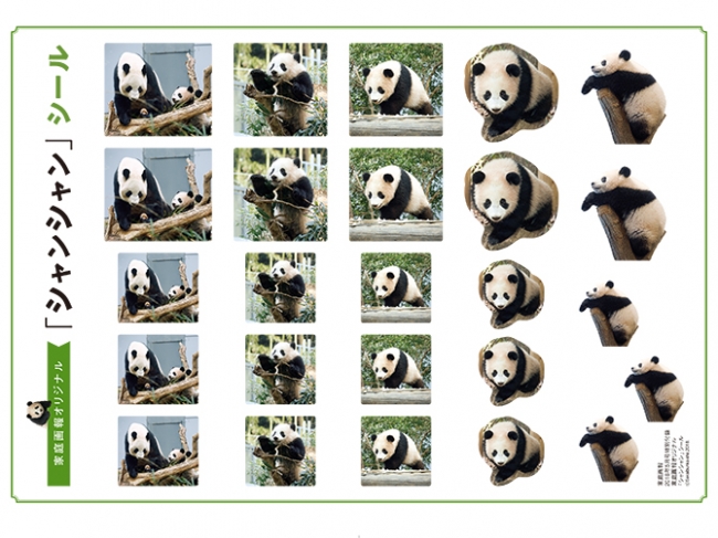 上野動物園のパンダ「シャンシャンに会いたい！」『家庭画報5月号