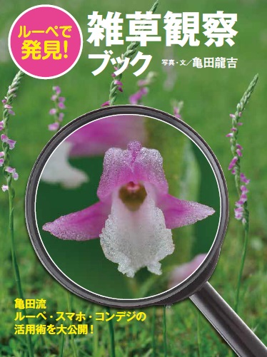 花は人のためではなく 虫のために咲いている 新感覚 雑草ブック発売 株式会社世界文化ホールディングスのプレスリリース
