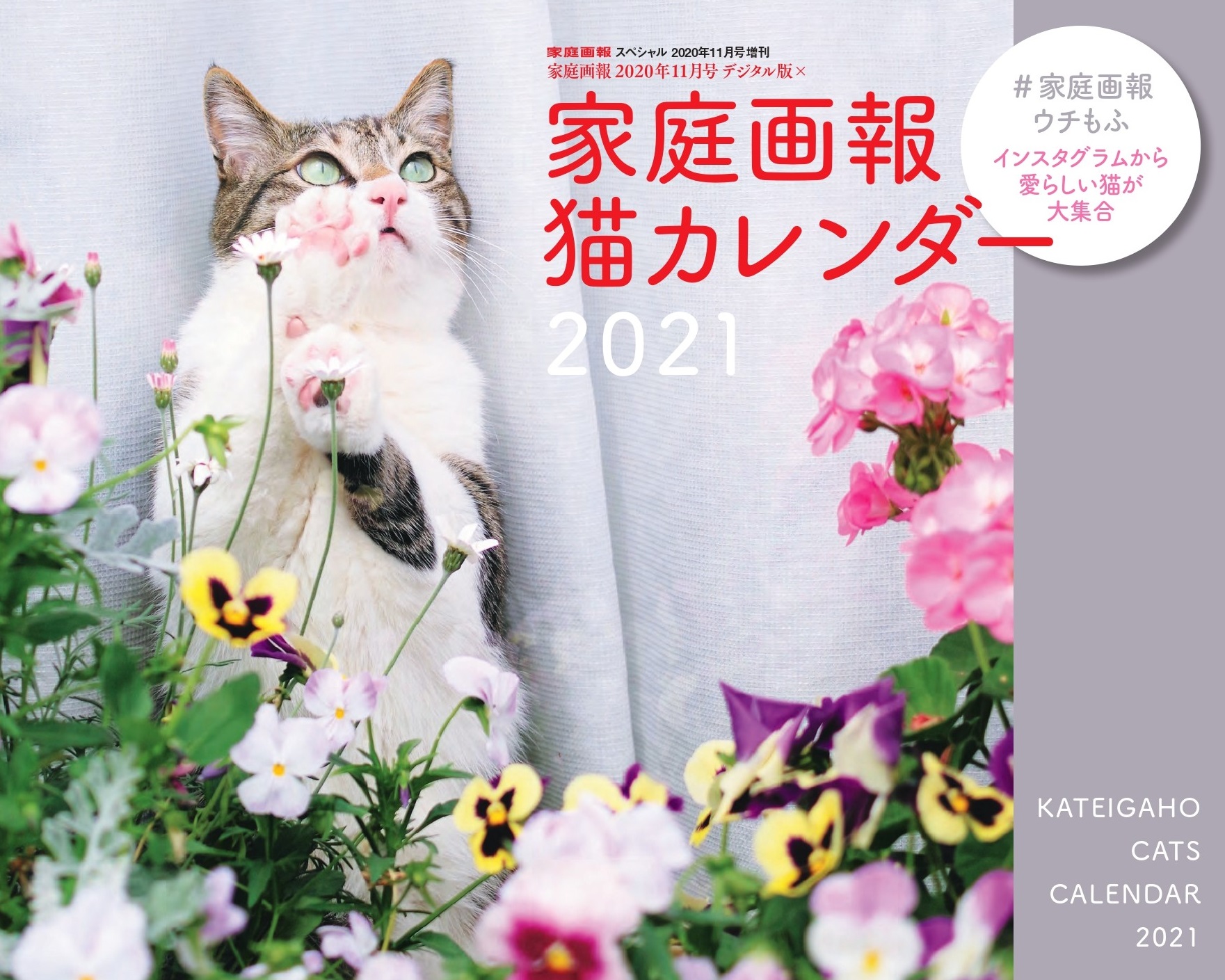 21年カレンダー 可愛さ悶絶モフモフ 猫 四季の色彩を堪能できる 花 家庭画報 人気企画より2種同日発売 株式会社世界文化ホールディングスのプレスリリース