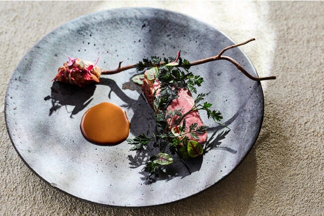 こちらは肉料理のイメージです（鳥取和牛ではありません）