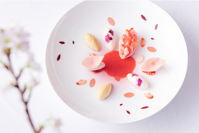 フロマージュブランのムースと苺ジュレとマルムラード　桜の香りのガボット　苺とシャンパンのソースと共に