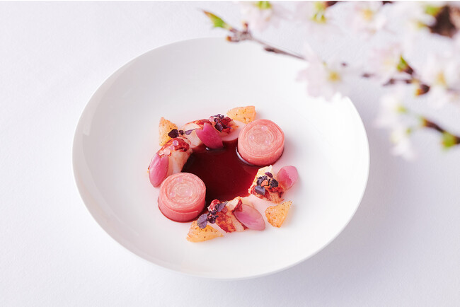 オマールブルー　赤く染まったブイヨンの旨味　桜色のビーツのスパイラル　グレープフルーツルビーとシャンパンキャビア