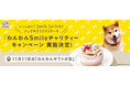 不二家洋菓子店 犬猫用クリスマスケーキ「いっしょに!Smile Switch!ドッグのクリスマスケーキ」「わんわんSmileチャリティーキャンペーン」実施決定