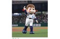 ペコちゃん×埼玉西武ライオンズ「ペコちゃんスペシャルナイター」開催!