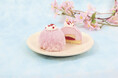 【不二家洋菓子店】春の訪れを彩る、桜が主役の華やかな味わい。春めく桜スイーツが新登場