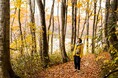 【信州飯山】「五感で感じる、彩りの秋旅」モデルコースを提案!~紅葉と旬の味覚が織りなす、癒やしと感動の1日~