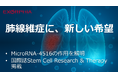 肺線維症治療への新たなアプローチの可能性 MicroRNA-4516を豊富に含む当社MSC-EVの作用メカニズムを解明し国際誌に発表