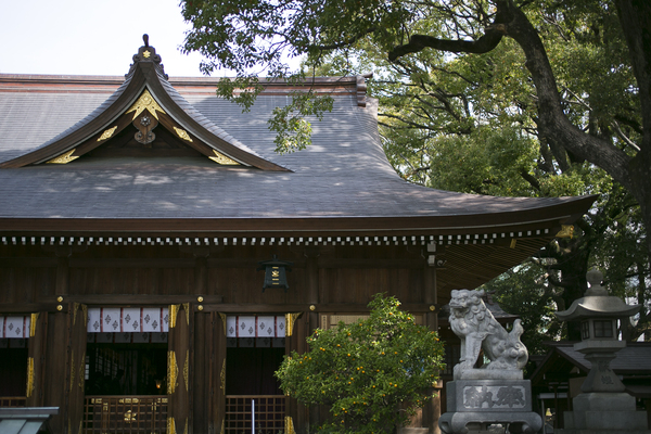若宮八幡社 若宮八幡社