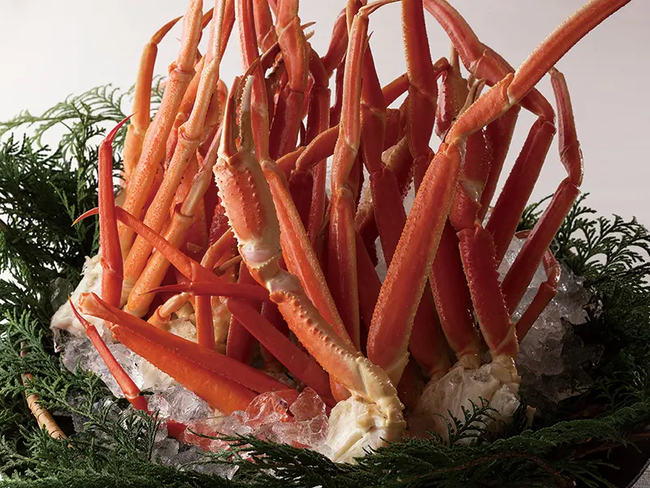 ジャルダン ニューイヤーフェア ジャルダン ニューイヤーフェア