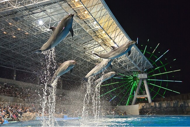 名古屋観光ホテルは『なごやTRIP』の拠点に！【水族館】や【動植物園