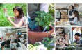 GREEN×EXPO 2027　地球と共にー「環共」プログラムレッツグリーンアクション 実践者と楽しむ活動体験　企画募集開始　～あなたの環境への取組をEXPO来場者につなげよう～