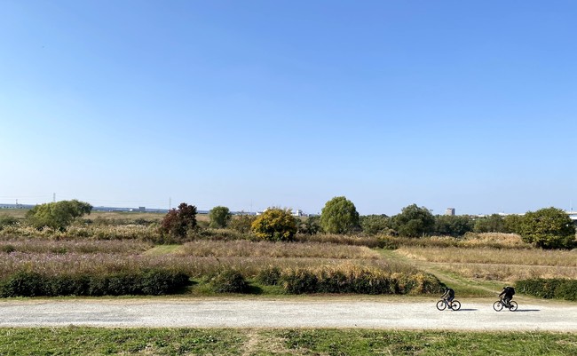 首都圏では河川敷に多く存在する「グラベルロード」密を避けられるとともに、ライドに集中できます。