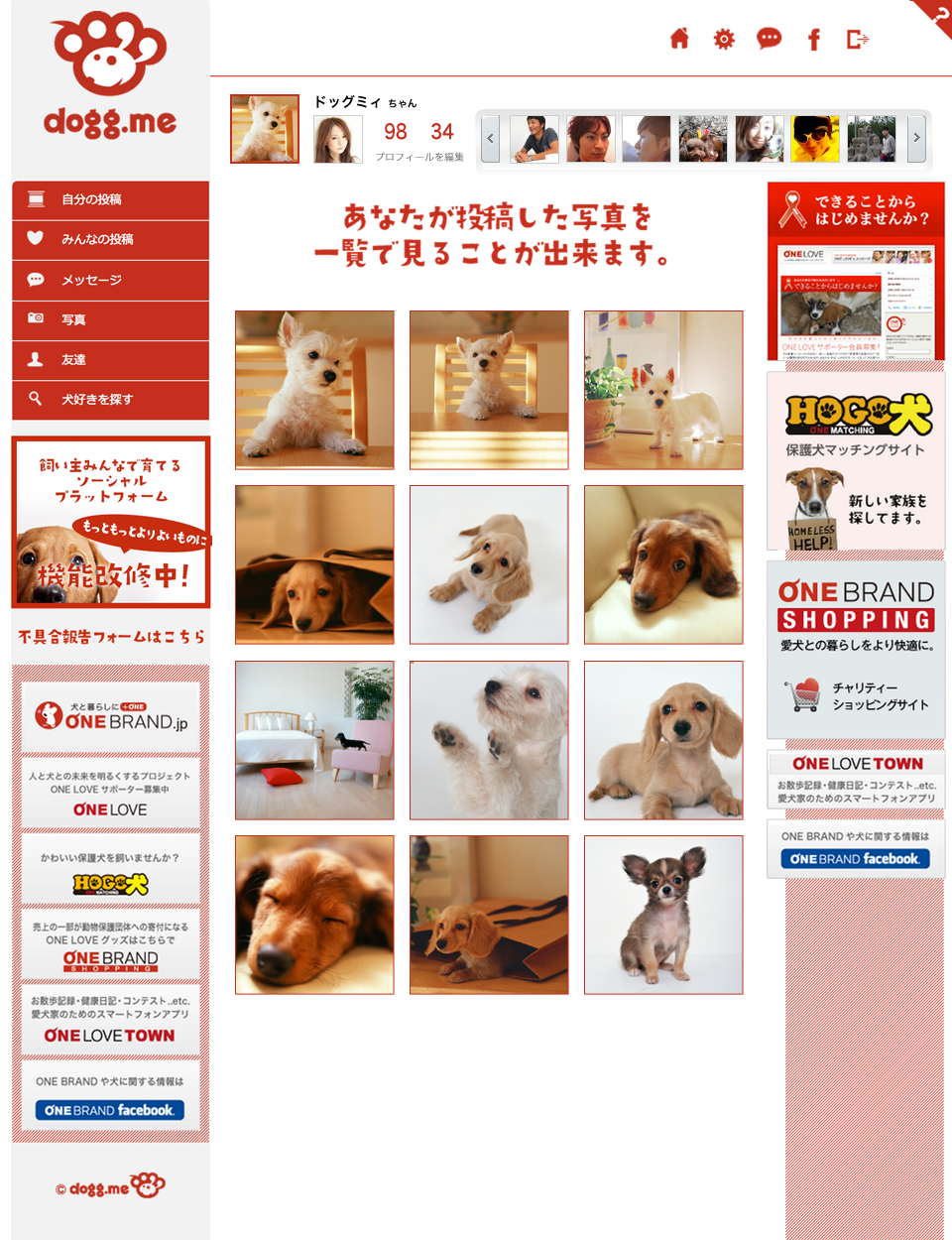 愛犬家待望のペットsns Dogg Me ドッグミー ついにオープン 株式会社one Brandのプレスリリース