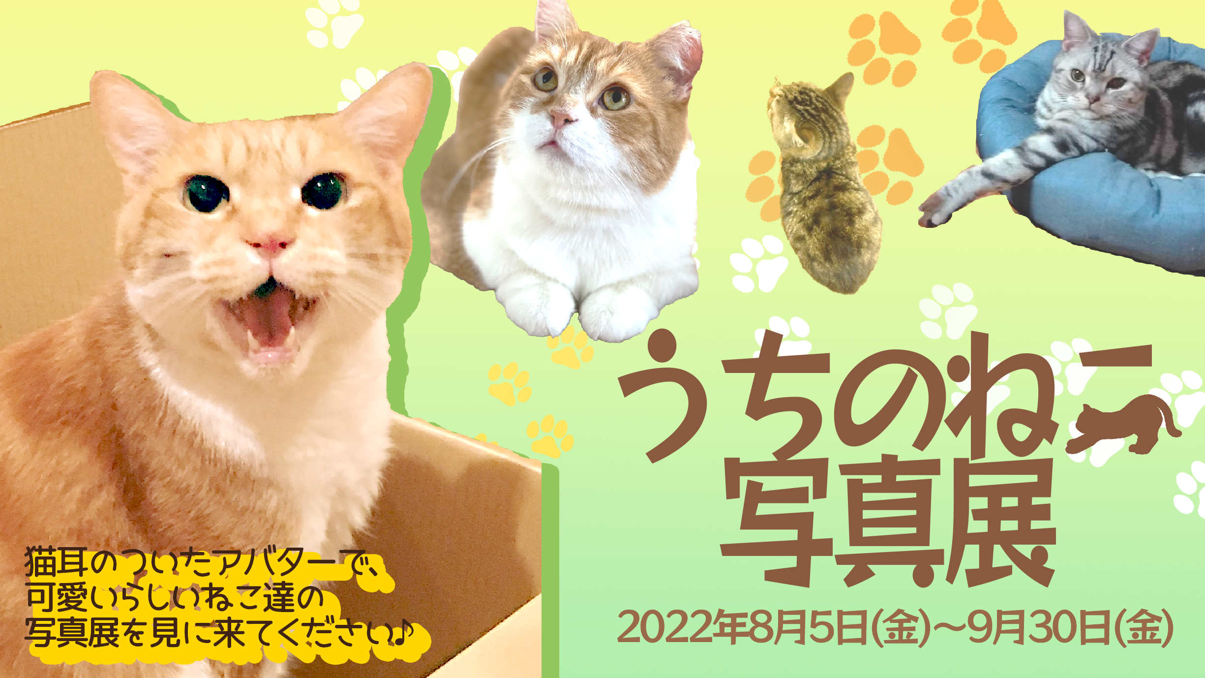 ８月８日は世界猫の日 うちのねこ写真展 をメタバースの商業施設 そらの うえショッピングモール にて開催 ベネリックデジタルエンターテインメント株式会社のプレスリリース