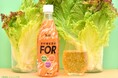 「食物繊維飲料ＦＯＲ」熱望に応え復活！食物繊維は１食分、ビタミンCは１日分、甘さすっきり低カロリーに！