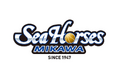 2025-26シーズン B.LEAGUEクラブライセンス交付のご報告