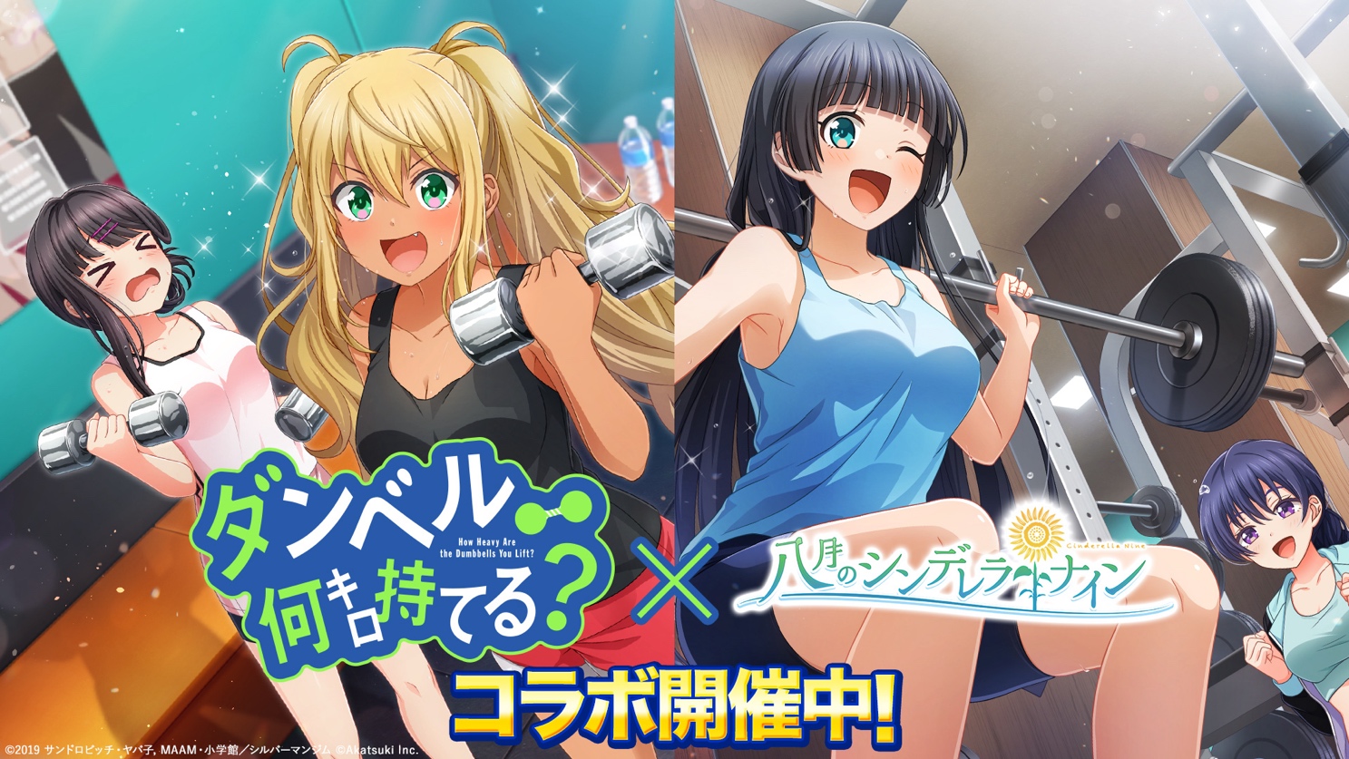 ダンベル 何 キロ 持てる 略