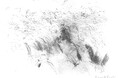 マーガレット・ハウエルが描いた”GRASSES T SHIRT”