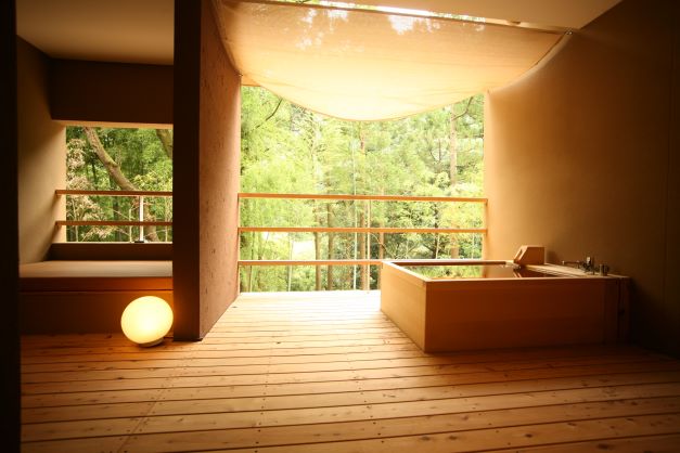 金乃竹 塔ノ澤 光タイプ