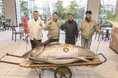 2025年豊洲市場マグロ初競りONODERA GROUP が一番マグロ(276kg)を2億700万円で落札!