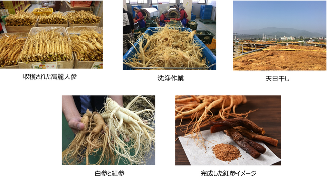 受験生未成年者
