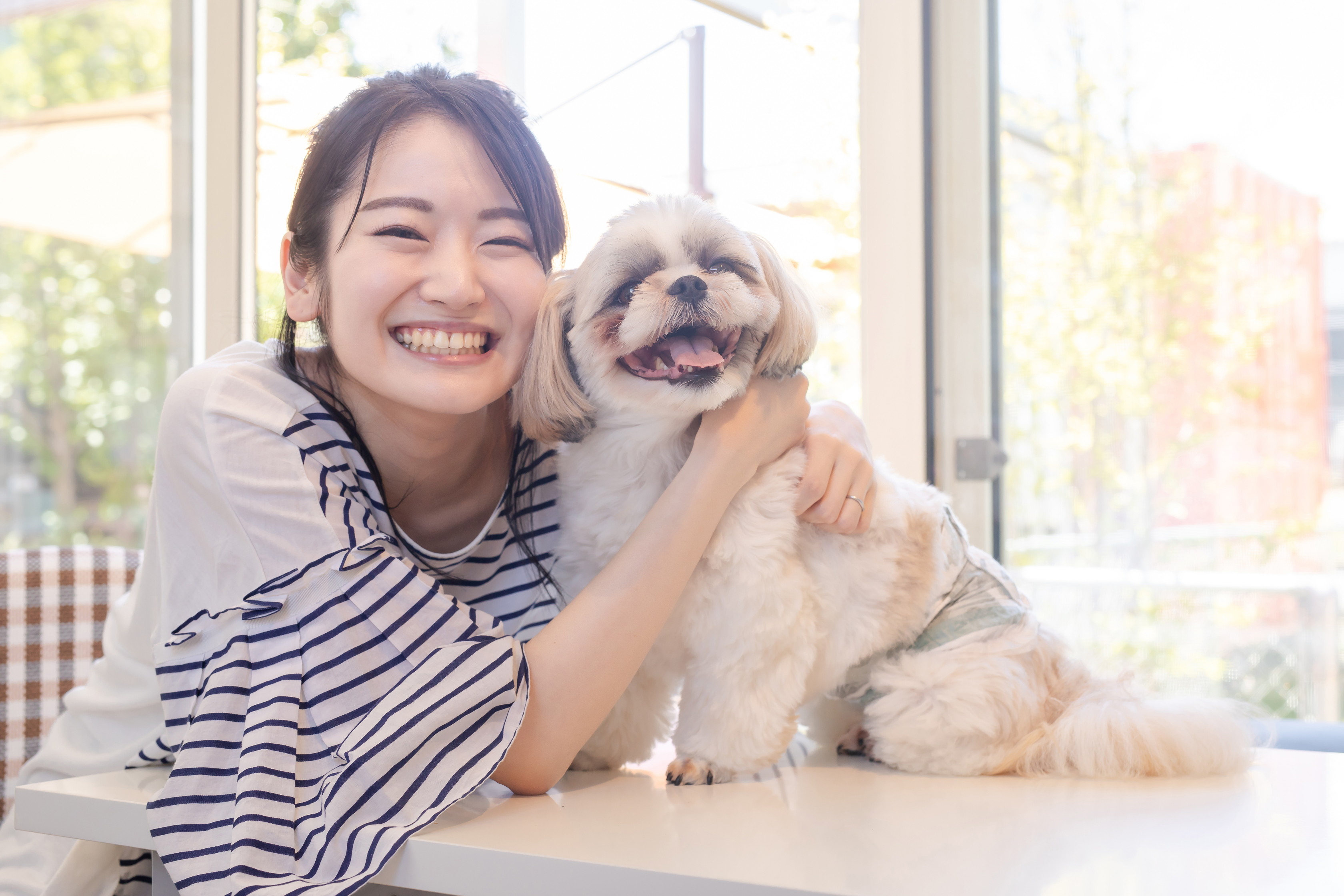 自分と愛犬は似ている と約5割の飼い主が回答 共通点は 性格 が最も多い結果に 飼い主と犬 の共通点に関する調査 株式会社ピーネストジャパンのプレスリリース