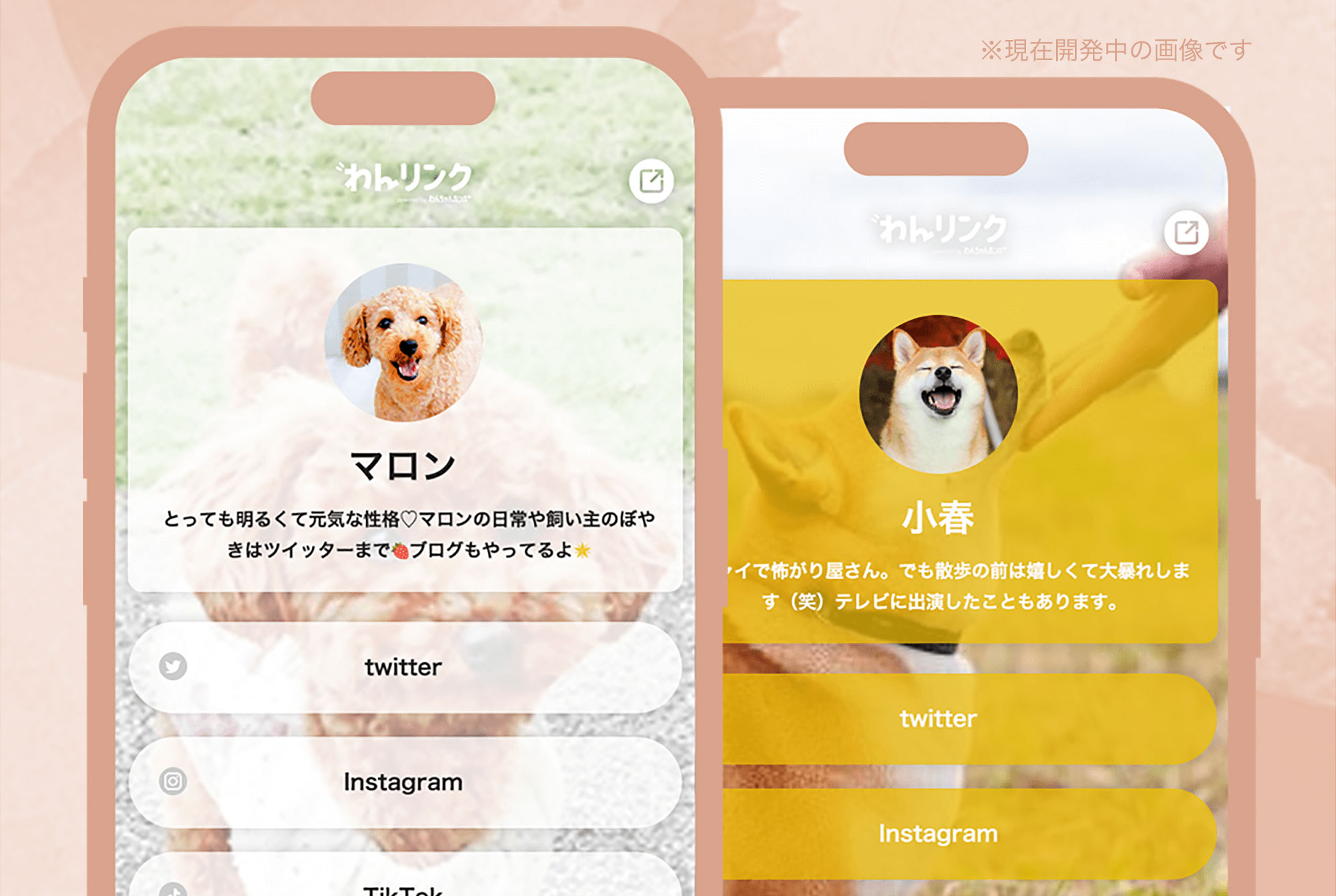 犬専用”のプロフィール＆リンクサービス「わんリンク」オープン