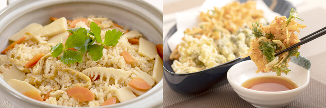 筍の炊き込みご飯/春の山菜の天婦羅&桜海老のかき揚げ 筍の炊き込みご飯/春の山菜の天婦羅&桜海老のかき揚げ