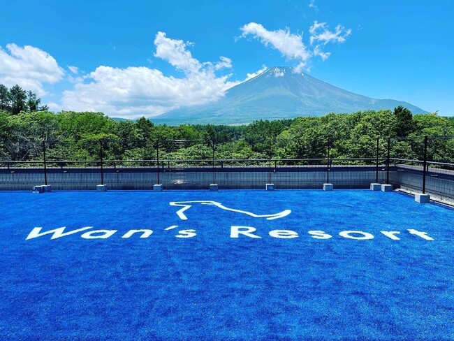 富士山の絶景とブルーの人工芝のdog park～天空～