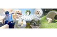 【Wan's Resort 城ヶ崎海岸】愛犬と泊まれるリゾートホテルが24年10月1日よりグループ初となるオールインクルーシブサービスの提供を開始