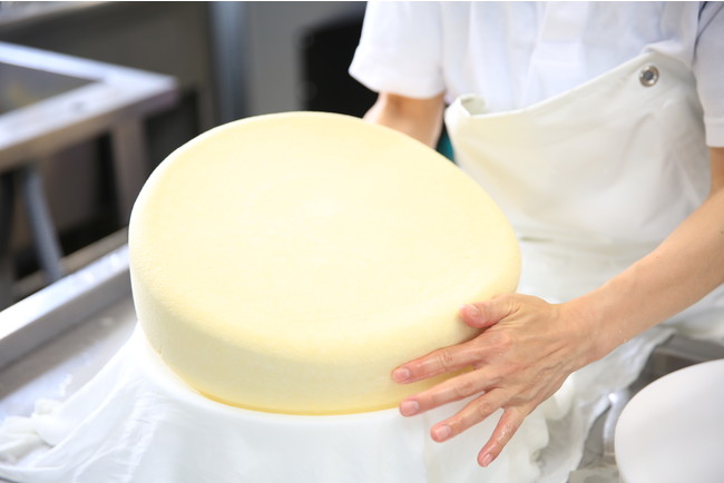 新鮮な生乳を使い、職人が丁寧に手作りしたグラスフェッドチーズ。