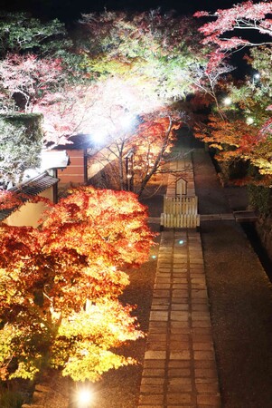 満願寺　宵の紅葉