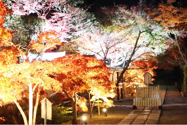 満願寺　宵の紅葉