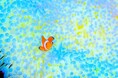 川西能勢口駅周辺が海の世界に！ 「かわにしまるごと水族館」 / 兵庫県川西市