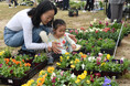 花と緑あふれる都市緑化祭を今年も開催 / 兵庫県川西市