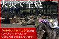 火災で全焼した名馬の牧場「ワールドファーム」再建へ!クラウドファンディング始動【つながりファンディング無償制作支援】