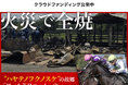 【クラウドファンディングスタート】火災で全焼した青森の牧場「ワールドファーム」再建プロジェクト始動!