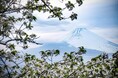 New Open 富士山のふもとで特別なひと時を!「Fujisan Charm」~ロケーションフォト&和食ランチ&日本の文化体験プランのご案内~