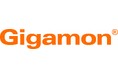 Gigamon、ネットワークテレメトリを活用したAIガイダンスを即時提供する新たなアプリケーション「Gigamon Insights」を発表
