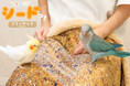 【お待たせしました】これが鳥界隈の本気…！ 「発想が天才」SNSで話題になったシード柄ブランケットが限定数再販！