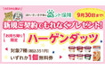 【SBIいきいき少短】ペット保険のWEB申込で「ハーゲンダッツ」をプレゼント！