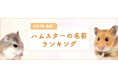 SBIプリズム少短【2024年最新】ハムスターの名前ランキングを発表！