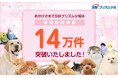 SBIプリズム少短、ペット保険保有契約件数が14万件を突破!