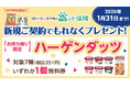 【SBIいきいき少短】ペット保険のWEB申込で「ハーゲンダッツ」をプレゼント!