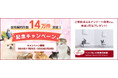 【SBIプリズム少短】「保有契約件数14万件突破!」記念キャンペーン実施のお知らせ