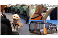 【SBI生命】社会福祉法人 日本聴導犬協会への寄付について