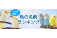 【2025年最新】鳥の名前ランキングを発表!