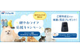 SBIプリズム少短、見守りカメラが当たる!健やかライフ応援キャンペーン実施のお知らせ